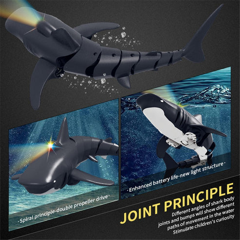 Remote Control Shark